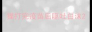 猫打完疫苗后呕吐白沫