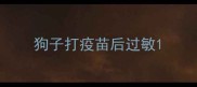 狗子打疫苗后过敏