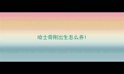 哈士奇刚出生怎么养