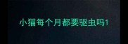 小猫每个月都要驱虫吗