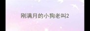 刚满月的小狗老叫