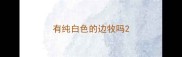有纯白色的边牧吗