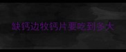 缺钙边牧钙片要吃到多大