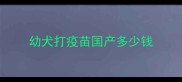 幼犬打疫苗国产多少钱