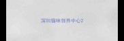 深圳猫咪领养中心