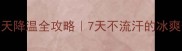 哈士奇夏天降温全攻略7天不流汗的冰爽生存指南