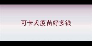 可卡犬疫苗好多钱