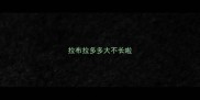 拉布拉多多大不长啦