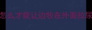 怎么才能让边牧在外面拉尿
