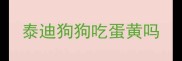 泰迪狗狗吃蛋黄吗