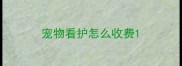 宠物看护怎么收费