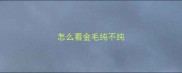 怎么看金毛纯不纯