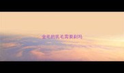 金毛的乳毛需要剃吗