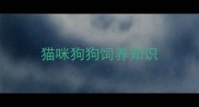 猫咪狗狗饲养知识