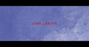 小狗身上有虱子吗