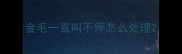金毛一直叫不停怎么处理