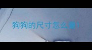狗狗的尺寸怎么量