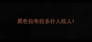 黑色拉布拉多扑人咬人