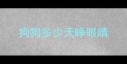 狗狗多少天睁眼睛