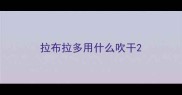 拉布拉多用什么吹干