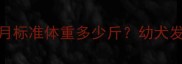 秋田犬4个月标准体重多少斤幼犬发育全指南