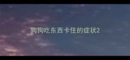 狗狗吃东西卡住的症状
