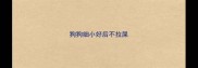 狗狗细小好后不拉屎