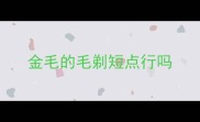 金毛的毛剃短点行吗
