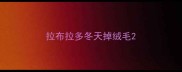 拉布拉多冬天掉绒毛