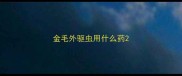 金毛外驱虫用什么药
