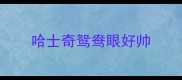 哈士奇鸳鸯眼好帅