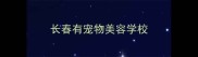 长春有宠物美容学校