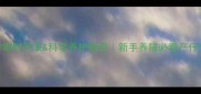 母猫孕期时间表科学养护指南新手养猫必看产仔全流程