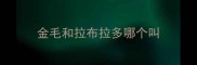金毛和拉布拉多哪个叫