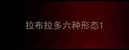 拉布拉多六种形态