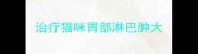 治疗猫咪胃部淋巴肿大