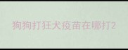 狗狗打狂犬疫苗在哪打