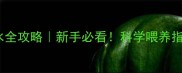 拉布拉多幼犬喂水全攻略新手必看科学喂养指南助毛孩健康成长