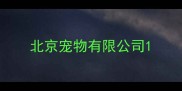 北京宠物有限公司