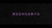 黑色拉布拉多鼻子白