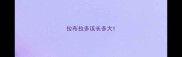 拉布拉多该长多大