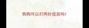 狗狗可以打两针疫苗吗