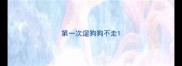第一次遛狗狗不走