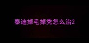 泰迪掉毛掉秃怎么治