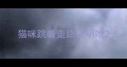 猫咪跳着走路说明啥