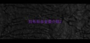 拉布拉多全面介绍