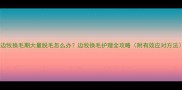 边牧换毛期大量脱毛怎么办边牧换毛护理全攻略附有效应对方法