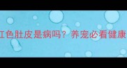 金毛犬红色肚皮是病吗养宠必看健康预警