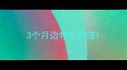 3个月边牧毛护理