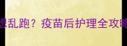 狗狗打完疫苗后总想乱跑疫苗后护理全攻略新手养狗必看